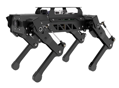 PuppyPi #6